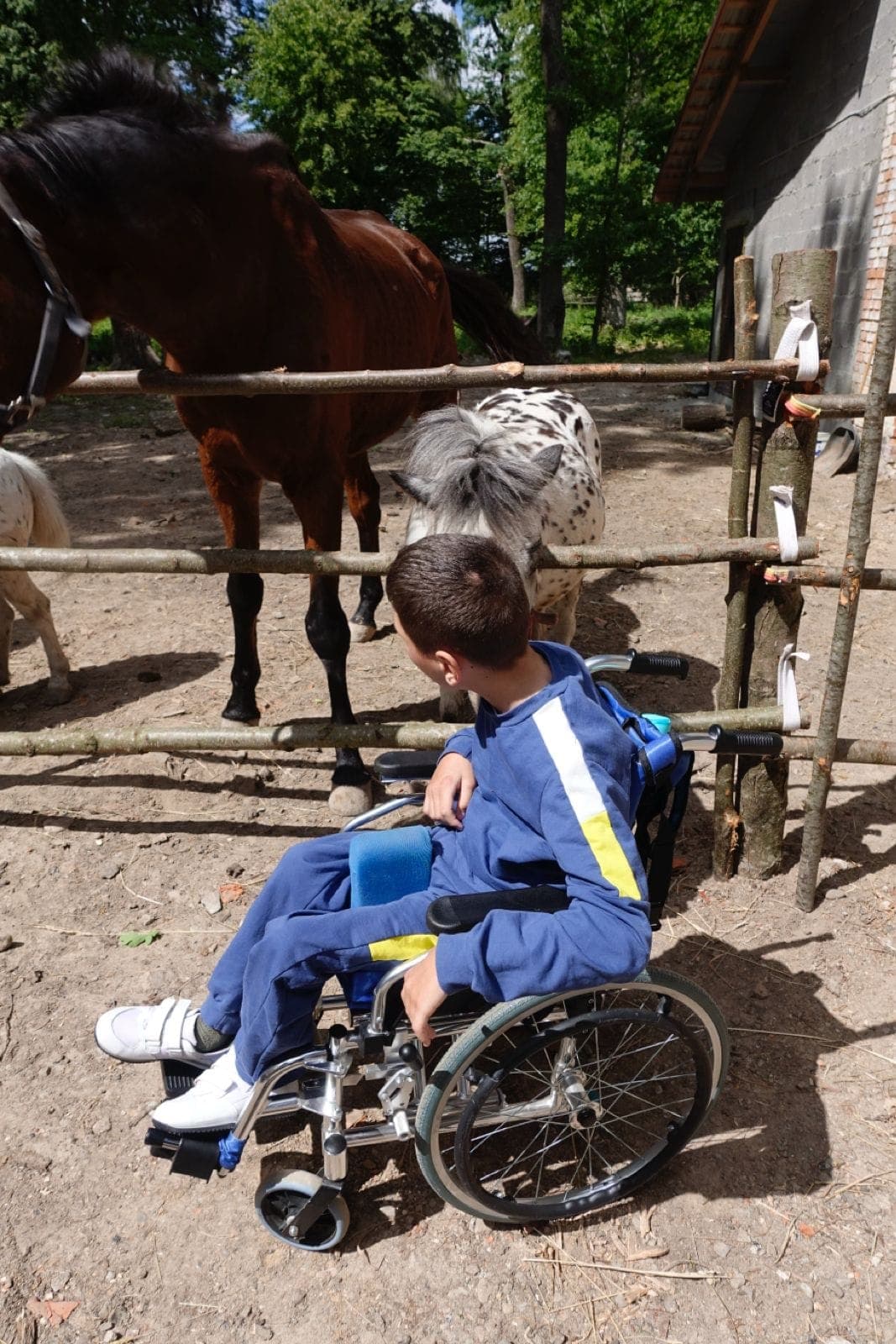 447608939 3806707812979744 6591591778419790291 n