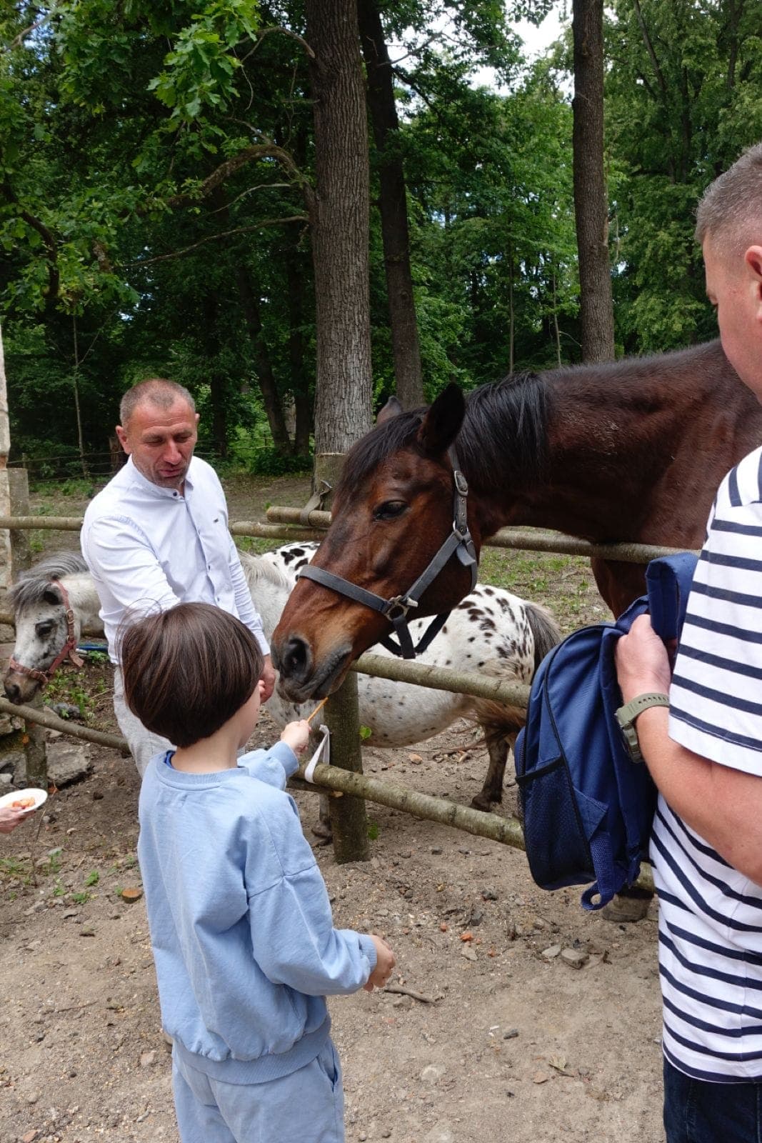 447605004 3806708232979702 2091132977538304092 n